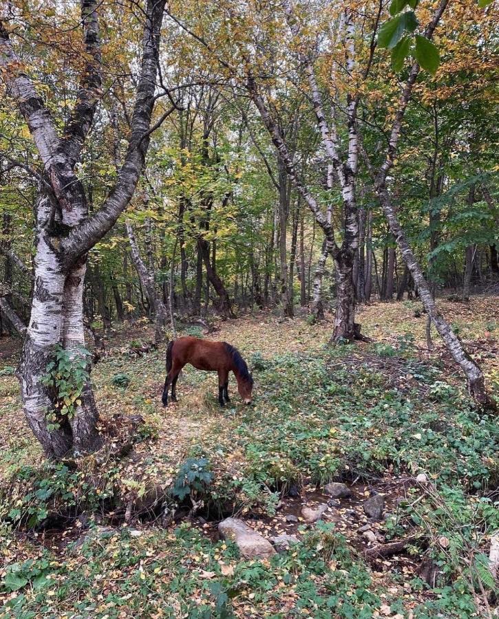 Margahovit Glamping Wolf Mount 빌라 외부 사진